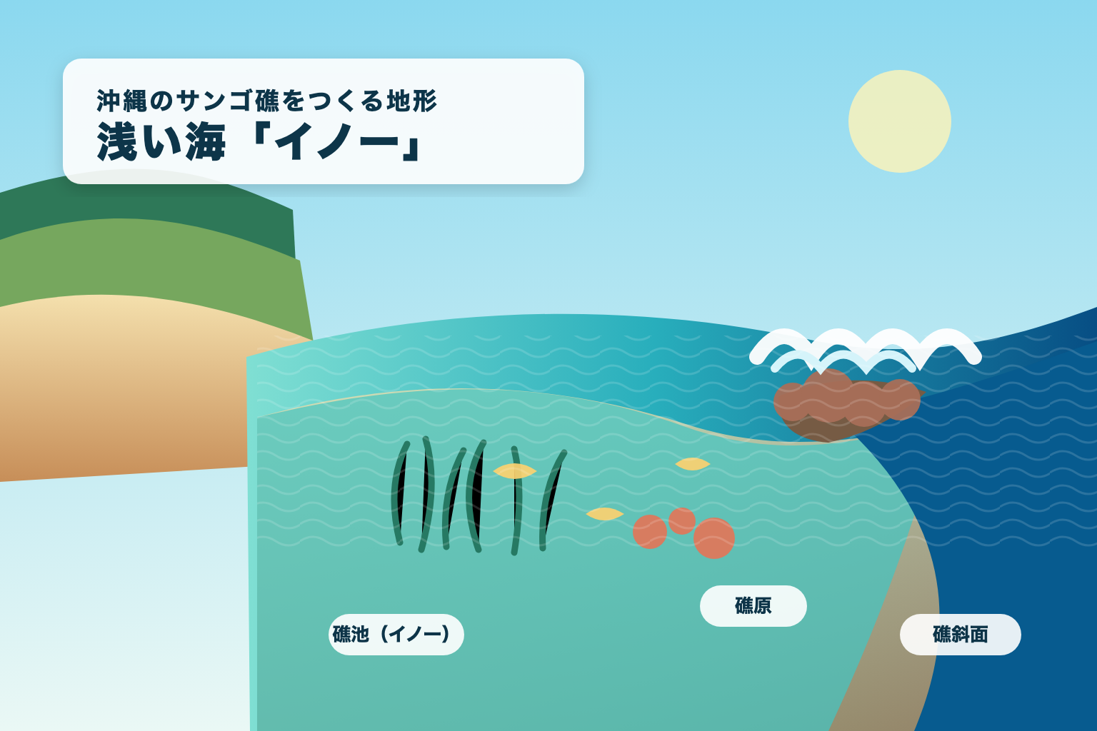 沖縄の海岸からイノー、礁原、礁斜面へ続くサンゴ礁地形の断面図